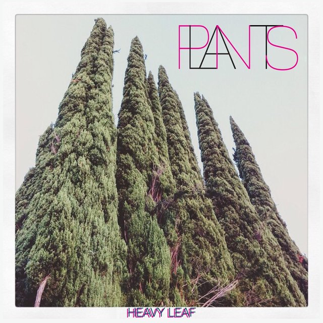 Heavy Leaf