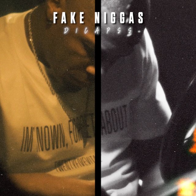 Fake Niggas