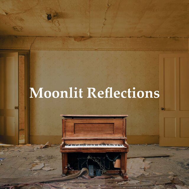 Moonlit Reflections