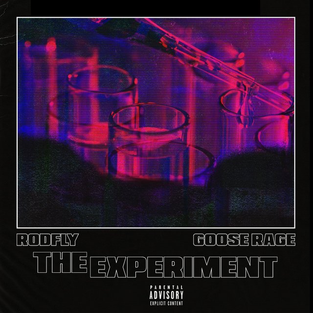 The Experiment