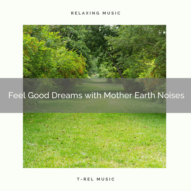 Feel Good Dreams with Mother Earth Noises