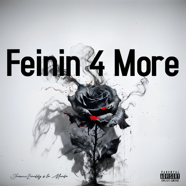 Feinin 4 More