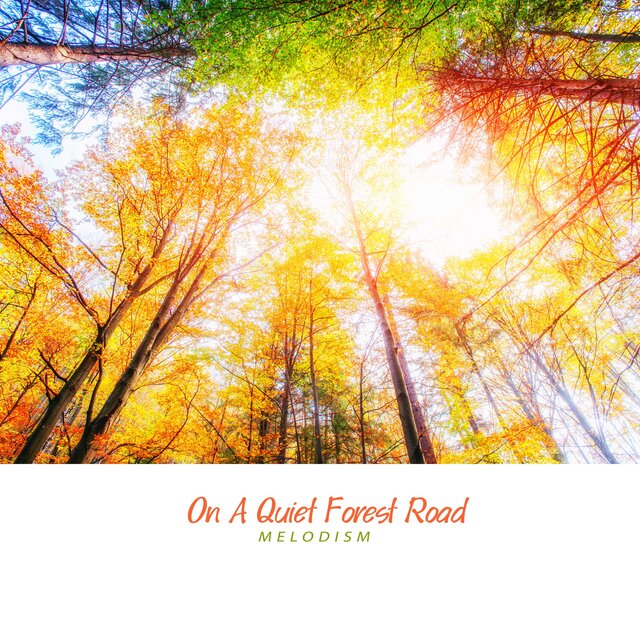 On A Quiet Forest Road