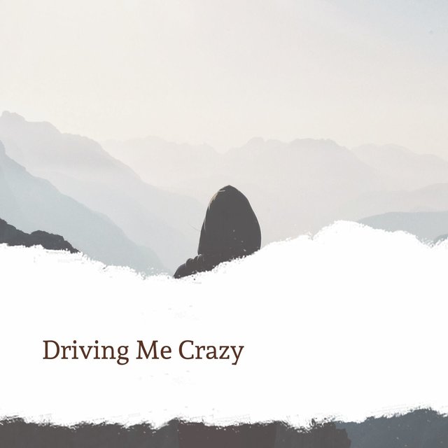Driving Me Crazy