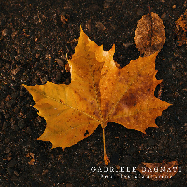 Feuilles d'automne, Op. 29: III. Con afflizione