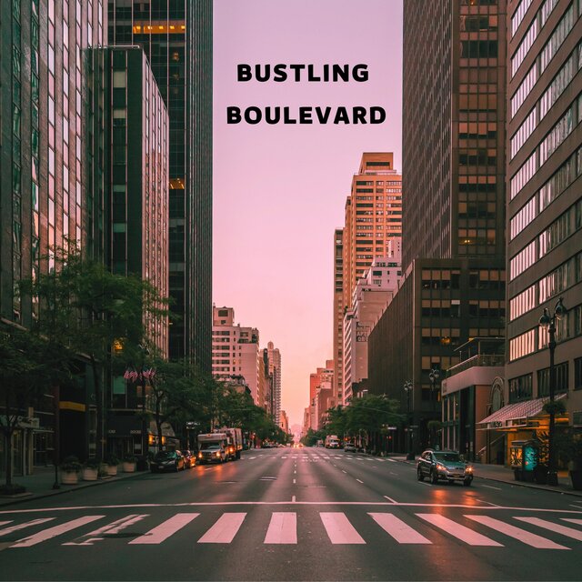 Bustling Boulevard