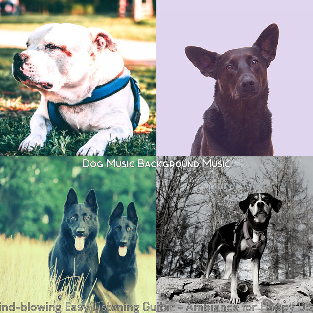 Mind-blowing Easy Listening Guitar - Ambiance for Happy Dogs