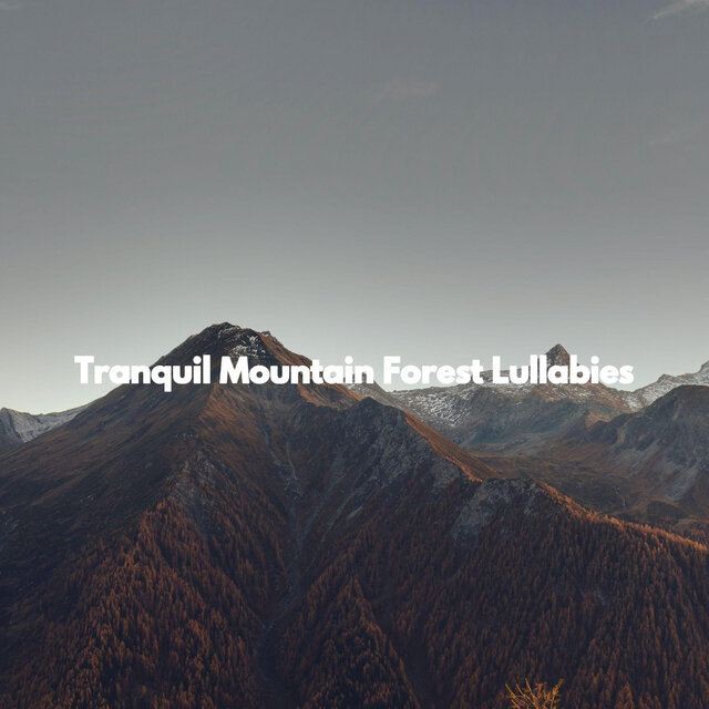 Tranquil Mountain Forest Lullabies