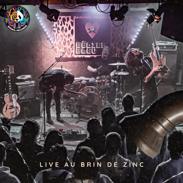 Live au Brin de Zinc