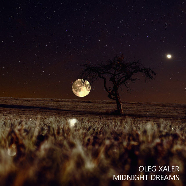 Midnight Dreams