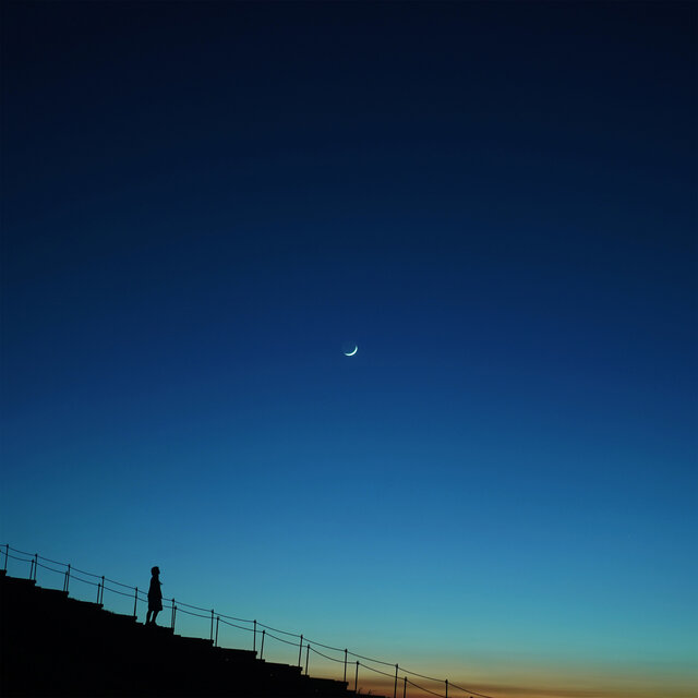 Daylight