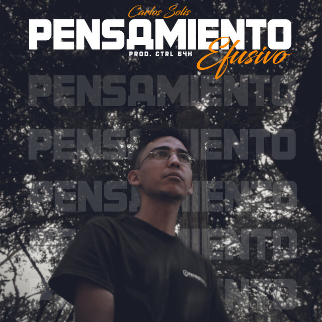 Pensamiento Efusivo