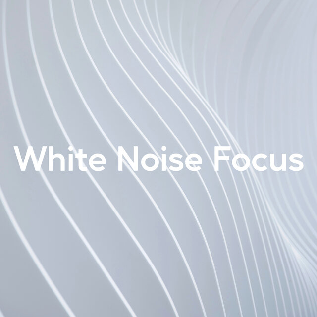 White Noise Focus