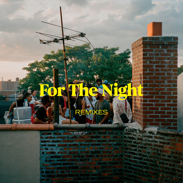 For The Night - Remixes
