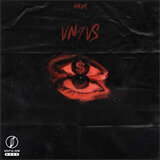 Vn4Vs
