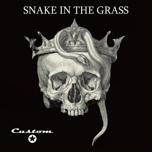 Snake In The Grass