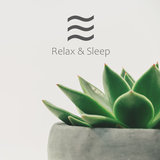 Serene Soft Noise for Sleeping