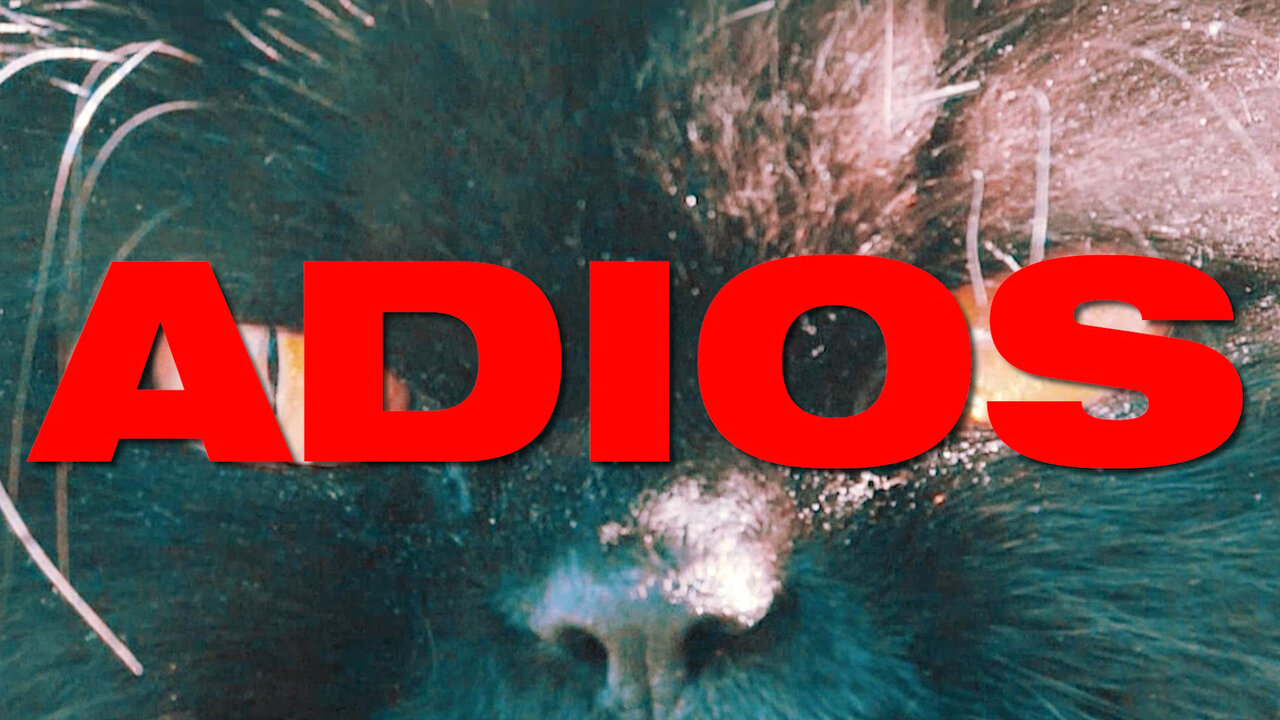 Adios