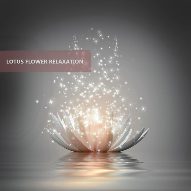 Lotus Flower Relaxation: Healthy Therapy for Body, Mind, Soul