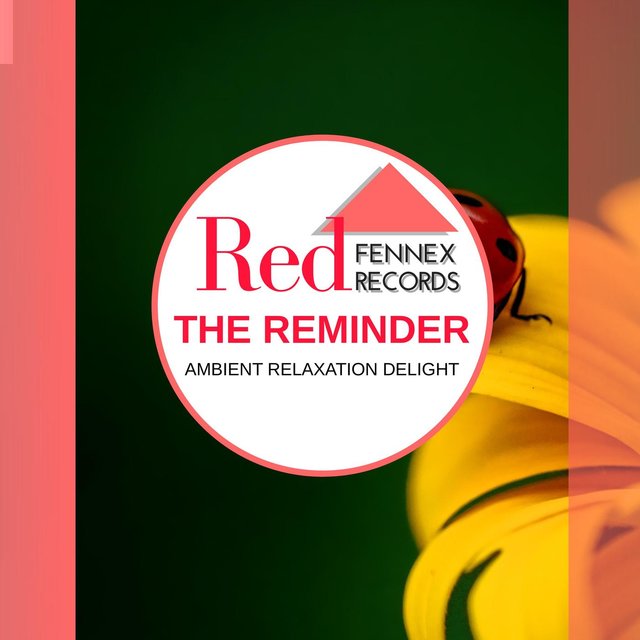 The Reminder - Ambient Relaxation Delight