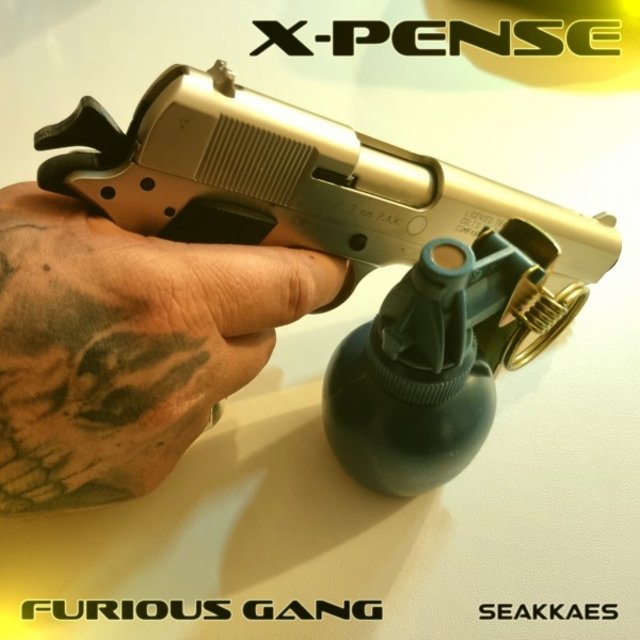 Furious Gang