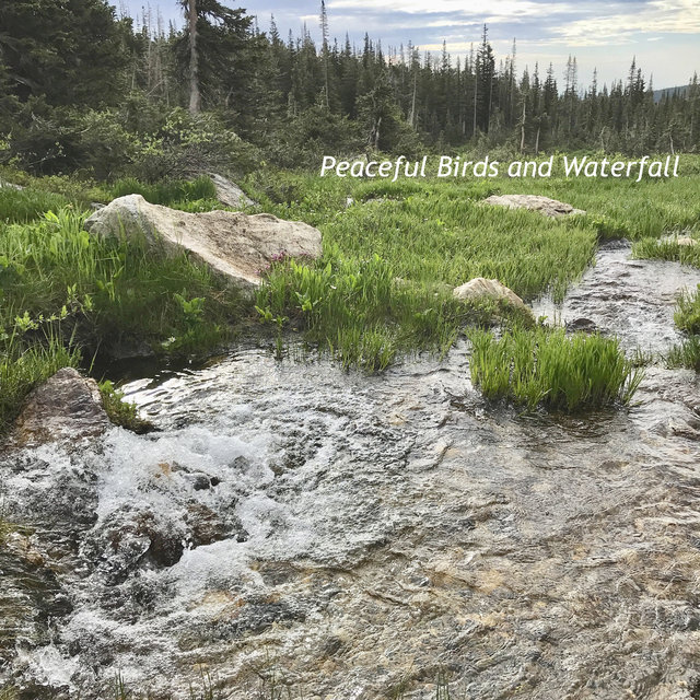 Peaceful Birds & Waterfall