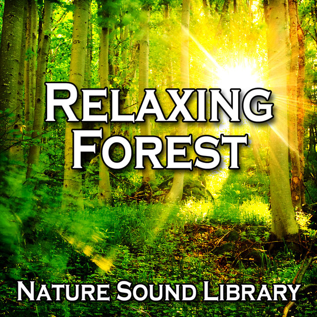 Relaxing Forest (Nature Sounds for Deep Sleep, Relaxation, Meditation, Spa, Sound Therapy, Studying)