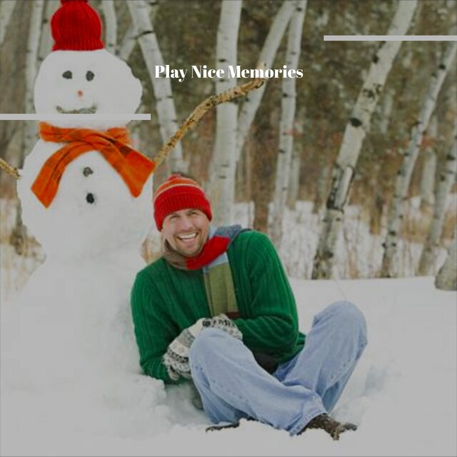 Play Nice Memories