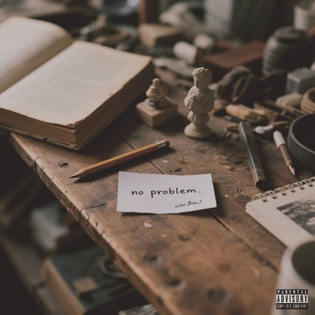 NO PROBLEM