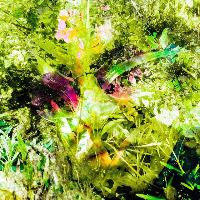 Nature's Rhythm: Volume 2