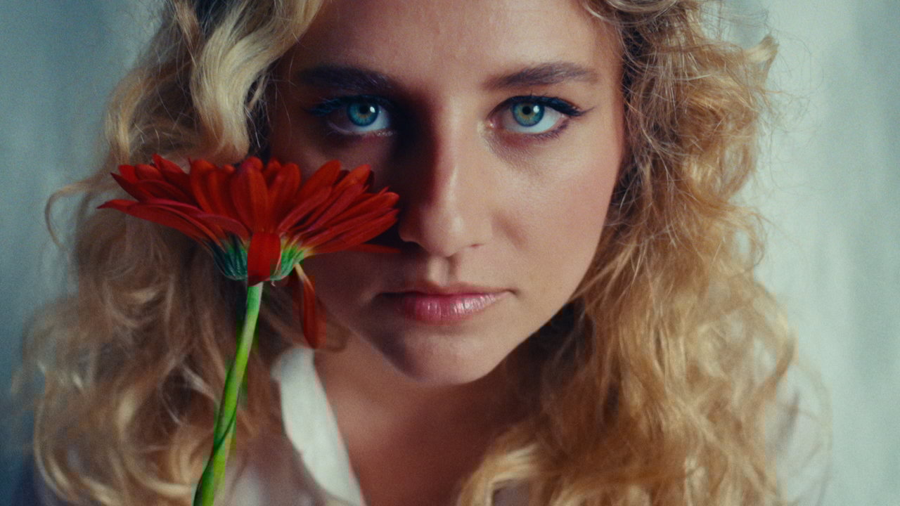 MOLECOLE (Visual Video)