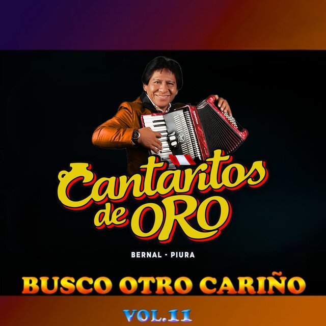 Busco Otro Cariño, Vol. 11