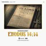Exodus 14:14