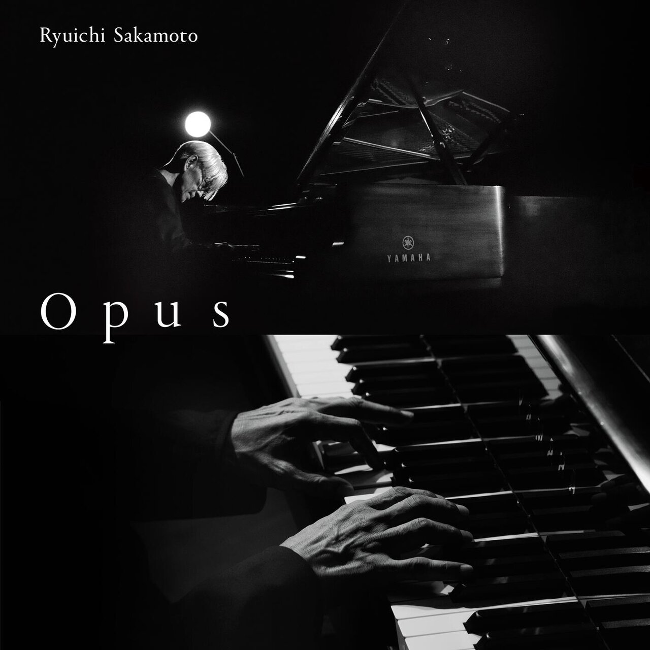 Opus / Ryuichi Sakamoto - TIDAL