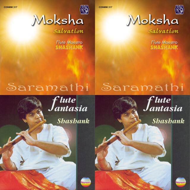Cover art for album Carnatic Flute Collection by User