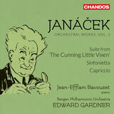 Capriccio for Piano and Chamber Ensemble, JW VII/12: IV. Andante