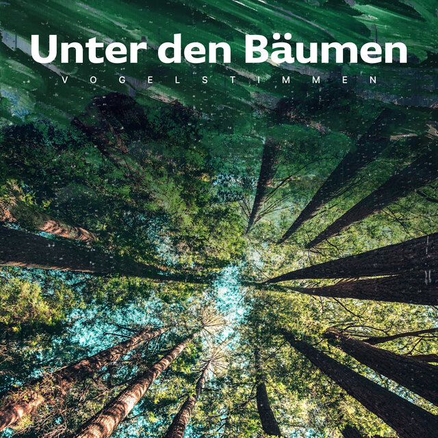 Unter den Bäumen