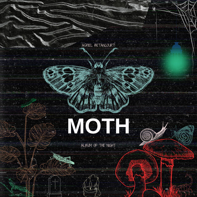 Moth