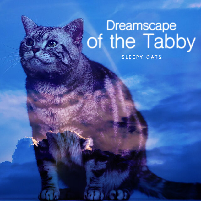 Dreamscape of the Tabby