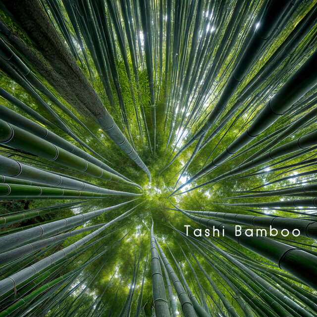 Grounding in Bamboo Forest