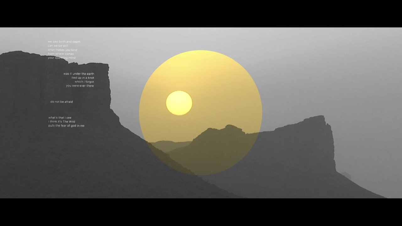 Mumford & Sons And National Geographic Present: The Wild (Lyric Video)