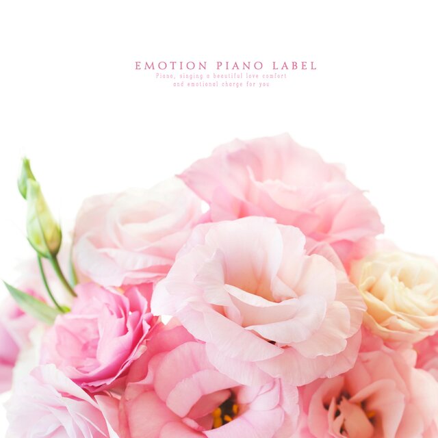 A Beautiful Story of Warm Love (Piano Collection)