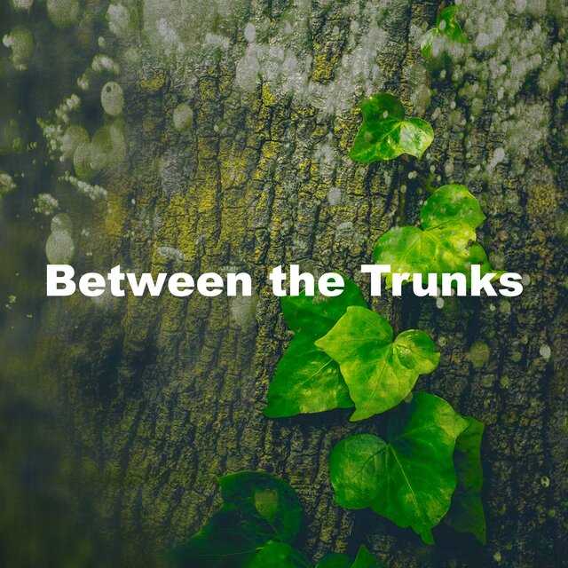 Between the Trunks