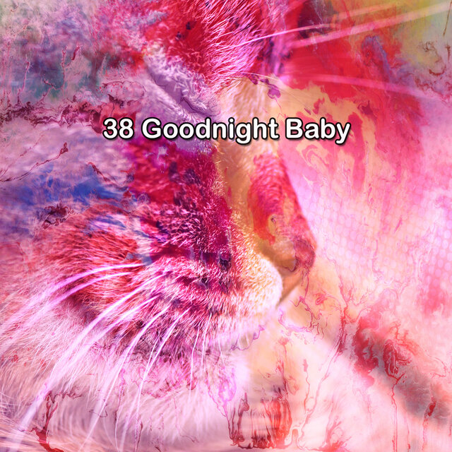 38 Goodnight Baby by Baby Lullaby Academy on TIDAL