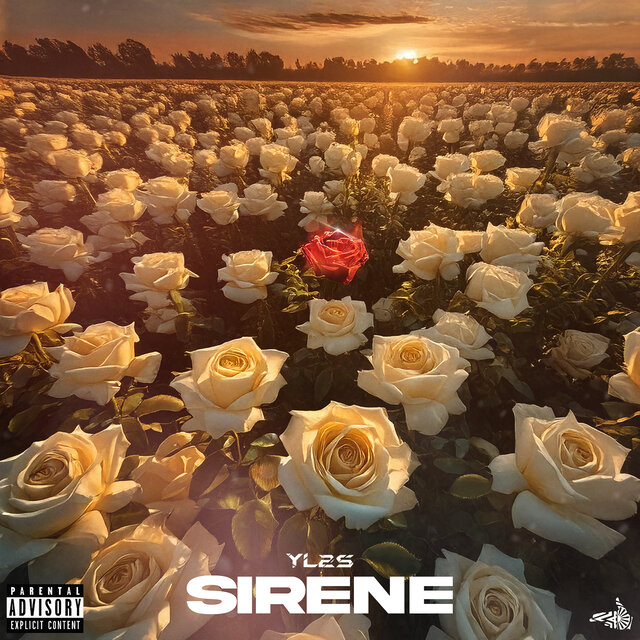 SIRÈNE 
