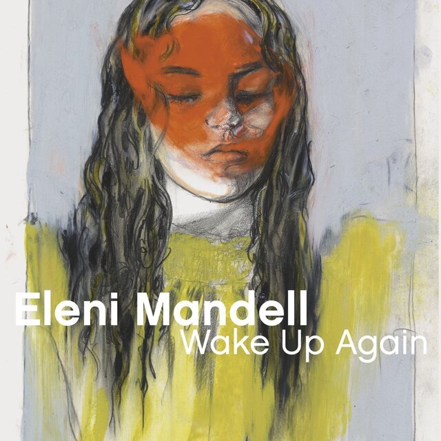 Cover art for album Wake Up Again by Eleni Mandell