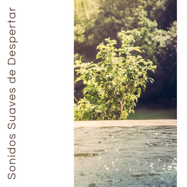 Sonidos Suaves de Despertar - Música de Meditación y Yoga para Amaneceres Tranquilos