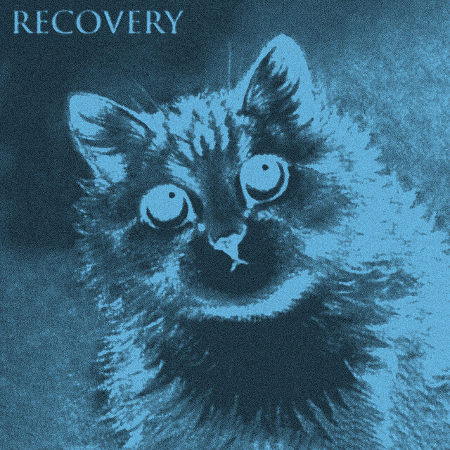 Recovery