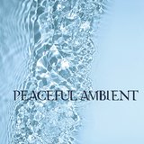 Miracle Sound Meditation (Intro Theme)