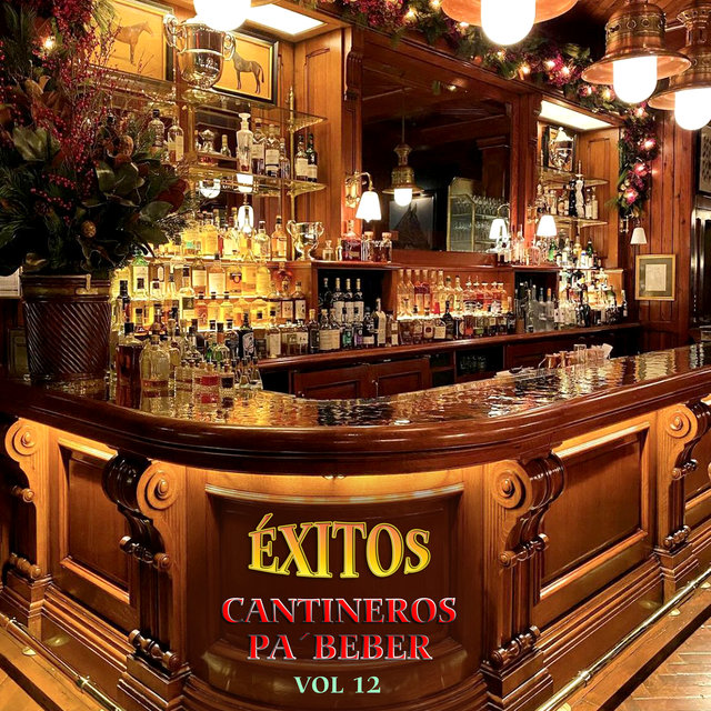 Exitos Cantineros Pa'Beber, Vol.12